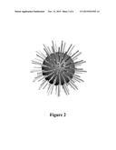 RADIAL COAL ASH BASED MICRO-ARCHITECTURES AND METHOD OF SYNTHESIS diagram and image