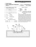 SILICON CARBIDE-TANTALUM CARBIDE COMPOSITE AND SUSCEPTOR diagram and image