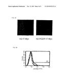 T1R TASTE RECEPTORS AND GENES ENCODING SAME diagram and image