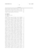 T1R TASTE RECEPTORS AND GENES ENCODING SAME diagram and image