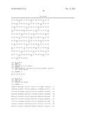 T1R TASTE RECEPTORS AND GENES ENCODING SAME diagram and image