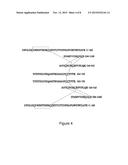 Antibodies that Bind Myostatin, Compositions and Methods diagram and image