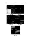 HYDROPHOBIC AND OLEOPHOBIC SURFACES AND USES THEREOF diagram and image