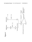 Syntrophic co-culture of anaerobic microorganism for production of     n-butanol from syngas diagram and image