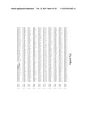 Syntrophic co-culture of anaerobic microorganism for production of     n-butanol from syngas diagram and image