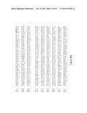 Syntrophic co-culture of anaerobic microorganism for production of     n-butanol from syngas diagram and image