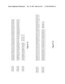 Syntrophic co-culture of anaerobic microorganism for production of     n-butanol from syngas diagram and image