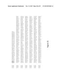 Syntrophic co-culture of anaerobic microorganism for production of     n-butanol from syngas diagram and image