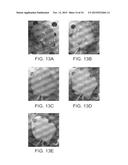 ISOLATED ADULT CELLS, ARTIFICIAL ORGANS, REHABILITATED ORGANS, RESEARCH     TOOLS, ORGAN ENCASEMENTS, ORGAN PERFUSION SYSTEMS, AND METHODS FOR     PREPARING AND UTILIZING THE SAME diagram and image