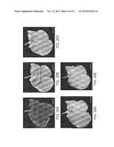 ISOLATED ADULT CELLS, ARTIFICIAL ORGANS, REHABILITATED ORGANS, RESEARCH     TOOLS, ORGAN ENCASEMENTS, ORGAN PERFUSION SYSTEMS, AND METHODS FOR     PREPARING AND UTILIZING THE SAME diagram and image