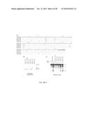 HBV RNASE H PURIFICATION AND ENZYME INHIBITORS diagram and image