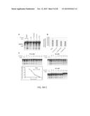 HBV RNASE H PURIFICATION AND ENZYME INHIBITORS diagram and image