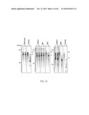 HBV RNASE H PURIFICATION AND ENZYME INHIBITORS diagram and image