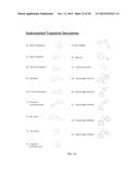 HBV RNASE H PURIFICATION AND ENZYME INHIBITORS diagram and image