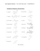 HBV RNASE H PURIFICATION AND ENZYME INHIBITORS diagram and image