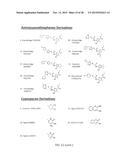 HBV RNASE H PURIFICATION AND ENZYME INHIBITORS diagram and image