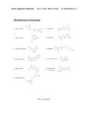 HBV RNASE H PURIFICATION AND ENZYME INHIBITORS diagram and image