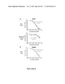 HBV RNASE H PURIFICATION AND ENZYME INHIBITORS diagram and image