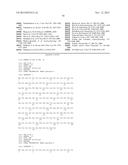 HBV RNASE H PURIFICATION AND ENZYME INHIBITORS diagram and image