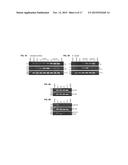 SELF-INCOMPATIBILITY SYSTEM FOR MAKING BRASSICACEAE HYBRID diagram and image