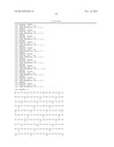 SELF-INCOMPATIBILITY SYSTEM FOR MAKING BRASSICACEAE HYBRID diagram and image