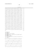 SELF-INCOMPATIBILITY SYSTEM FOR MAKING BRASSICACEAE HYBRID diagram and image