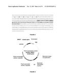 Plants Having Enhanced Yield-Related Traits And Methods For Making The     Same diagram and image