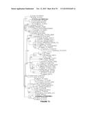 Plants Having Enhanced Yield-Related Traits And Methods For Making The     Same diagram and image