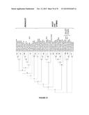 Plants Having Enhanced Yield-Related Traits And Methods For Making The     Same diagram and image