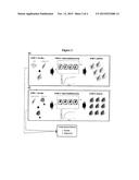 LABEL-FREE METHODS FOR ISOLATION AND ANALYSIS OF NUCLEIC ACIDS ON SOLID     PHASE DEVICE diagram and image