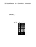 Reagents and Methods of PCR diagram and image