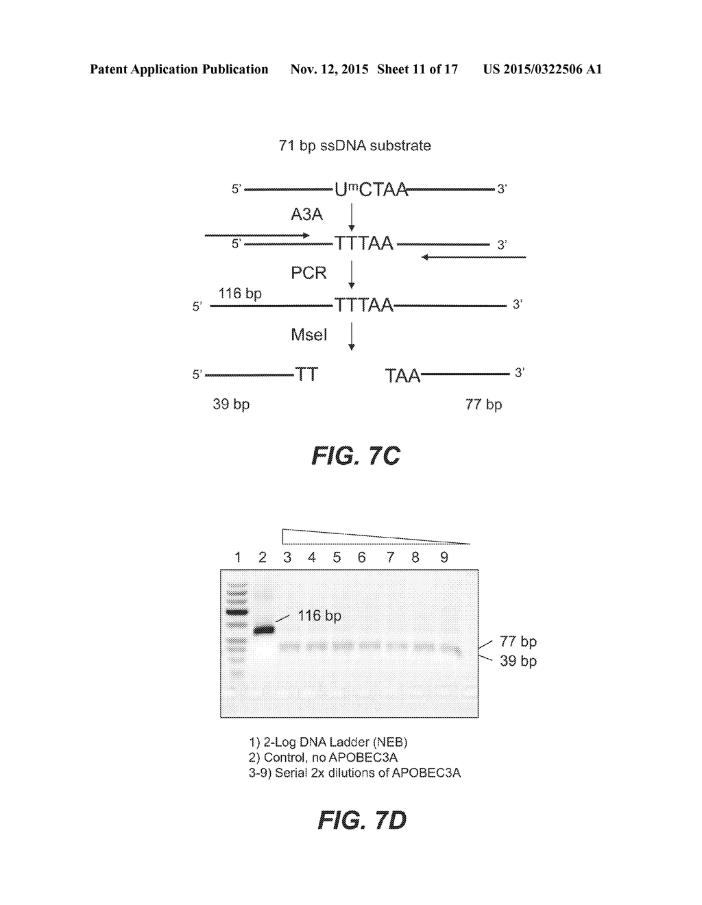 Methods and Compositions for Discrimination Between Cytosine and     Modifications Thereof, and for Methylome Analysis - diagram, schematic, and image 12