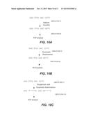 Methods and Compositions for Discrimination Between Cytosine and     Modifications Thereof, and for Methylome Analysis diagram and image