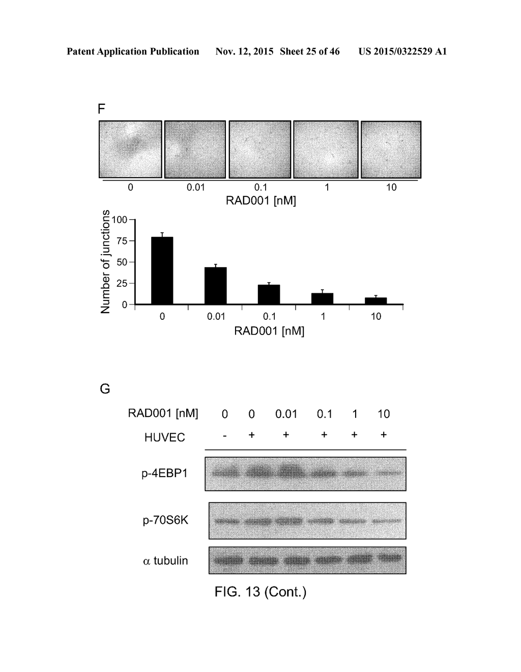 Compositions And Methods For Diagnosis, Prognosis And Treatment Of     Hematological Malignanicies - diagram, schematic, and image 26