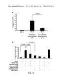 Compositions And Methods For Diagnosis, Prognosis And Treatment Of     Hematological Malignanicies diagram and image