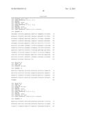 METHODS AND COMPOSITIONS FOR SELECTING CORN PLANTS RESISTANT TO DIPLODIA     EAR ROT diagram and image