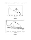 SURFACE ENHANCED SPECTROSCOPY-ACTIVE COMPOSITE NANOPARTICLES diagram and image