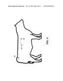 METHOD AND SYSTEM OF ASSESSING OR ANALYZING MUSCLE CHARACTERISTICS     INCLUDING STRENGTH AND TENDERNESS USING ULTRASOUND diagram and image