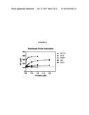 FLUORESCENT MOLECULAR PROBES FOR USE IN ASSAYS THAT MEASURE TEST COMPOUND     COMPETITIVE BINDING WITH SAM-UTILIZING PROTEINS diagram and image