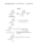 FLUORESCENT MOLECULAR PROBES FOR USE IN ASSAYS THAT MEASURE TEST COMPOUND     COMPETITIVE BINDING WITH SAM-UTILIZING PROTEINS diagram and image