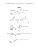 FLUORESCENT MOLECULAR PROBES FOR USE IN ASSAYS THAT MEASURE TEST COMPOUND     COMPETITIVE BINDING WITH SAM-UTILIZING PROTEINS diagram and image