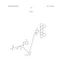 FLUORESCENT MOLECULAR PROBES FOR USE IN ASSAYS THAT MEASURE TEST COMPOUND     COMPETITIVE BINDING WITH SAM-UTILIZING PROTEINS diagram and image