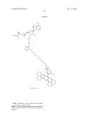 FLUORESCENT MOLECULAR PROBES FOR USE IN ASSAYS THAT MEASURE TEST COMPOUND     COMPETITIVE BINDING WITH SAM-UTILIZING PROTEINS diagram and image