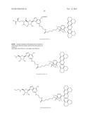 FLUORESCENT MOLECULAR PROBES FOR USE IN ASSAYS THAT MEASURE TEST COMPOUND     COMPETITIVE BINDING WITH SAM-UTILIZING PROTEINS diagram and image