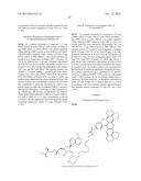 FLUORESCENT MOLECULAR PROBES FOR USE IN ASSAYS THAT MEASURE TEST COMPOUND     COMPETITIVE BINDING WITH SAM-UTILIZING PROTEINS diagram and image