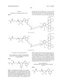 FLUORESCENT MOLECULAR PROBES FOR USE IN ASSAYS THAT MEASURE TEST COMPOUND     COMPETITIVE BINDING WITH SAM-UTILIZING PROTEINS diagram and image