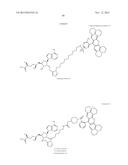 FLUORESCENT MOLECULAR PROBES FOR USE IN ASSAYS THAT MEASURE TEST COMPOUND     COMPETITIVE BINDING WITH SAM-UTILIZING PROTEINS diagram and image