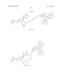 FLUORESCENT MOLECULAR PROBES FOR USE IN ASSAYS THAT MEASURE TEST COMPOUND     COMPETITIVE BINDING WITH SAM-UTILIZING PROTEINS diagram and image