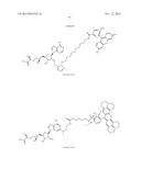 FLUORESCENT MOLECULAR PROBES FOR USE IN ASSAYS THAT MEASURE TEST COMPOUND     COMPETITIVE BINDING WITH SAM-UTILIZING PROTEINS diagram and image