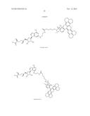 FLUORESCENT MOLECULAR PROBES FOR USE IN ASSAYS THAT MEASURE TEST COMPOUND     COMPETITIVE BINDING WITH SAM-UTILIZING PROTEINS diagram and image